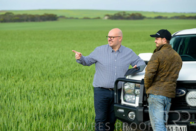 September 2024 / Malinong_SA_-Wheat-4_240925-_Z9C7968