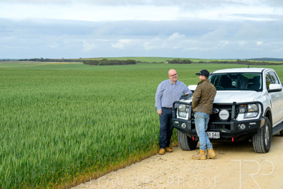 September 2024 / Malinong_SA_-Wheat-4_240925-_Z9C7976