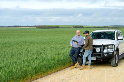 September 2024 / Malinong_SA_-Wheat-4_240925-_Z9C7995