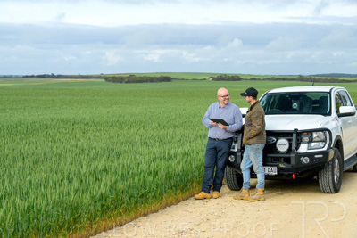 September 2024 / Malinong_SA_-Wheat-4_240925-_Z9C8008