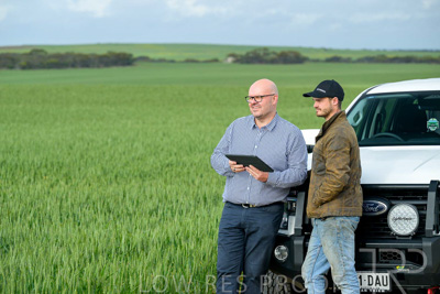 September 2024 / Malinong_SA_-Wheat-4_240925-_Z9C8033