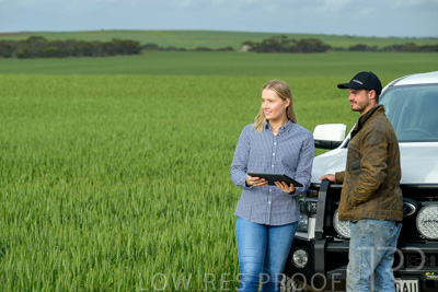 September 2024 / Malinong_SA_-Wheat-4_240925-_Z9C8042