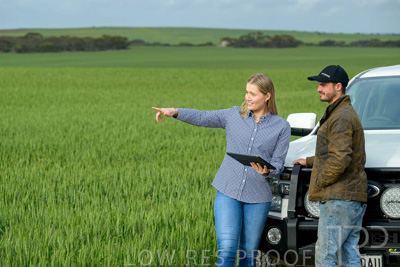 September 2024 / Malinong_SA_-Wheat-4_240925-_Z9C8045