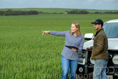 September 2024 / Malinong_SA_-Wheat-4_240925-_Z9C8052