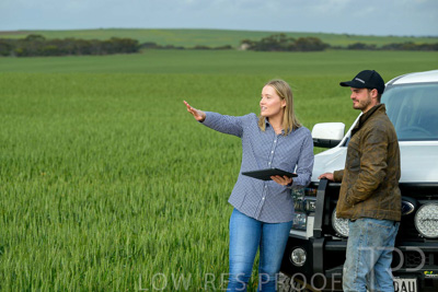 September 2024 / Malinong_SA_-Wheat-4_240925-_Z9C8061