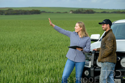 September 2024 / Malinong_SA_-Wheat-4_240925-_Z9C8076