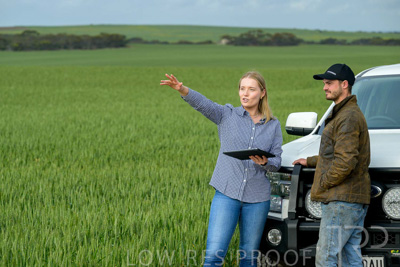 September 2024 / Malinong_SA_-Wheat-4_240925-_Z9C8086