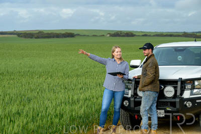 September 2024 / Malinong_SA_-Wheat-4_240925-_Z9C8091