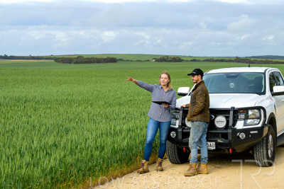 September 2024 / Malinong_SA_-Wheat-4_240925-_Z9C8095