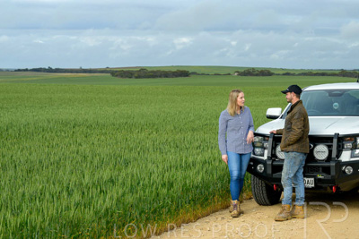September 2024 / Malinong_SA_-Wheat-4_240925-_Z9C8113
