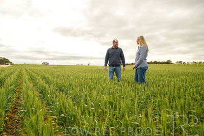 September 2024 / Malinong_SA_-Wheat-4_240925-_Z9C8197
