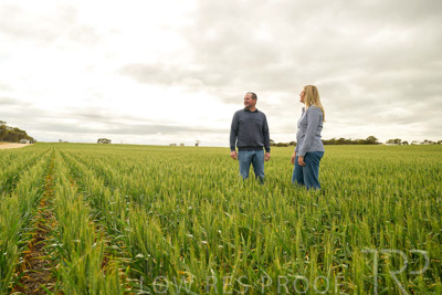 September 2024 / Malinong_SA_-Wheat-4_240925-_Z9C8203