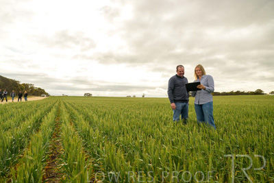 September 2024 / Malinong_SA_-Wheat-4_240925-_Z9C8218
