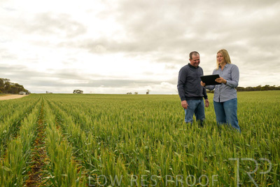 September 2024 / Malinong_SA_-Wheat-4_240925-_Z9C8226