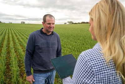September 2024 / Malinong_SA_-Wheat-4_240925-_Z9C8237