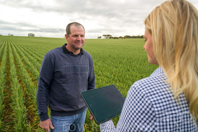 September 2024 / Malinong_SA_-Wheat-4_240925-_Z9C8238
