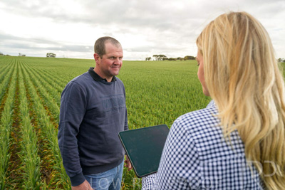 September 2024 / Malinong_SA_-Wheat-4_240925-_Z9C8243