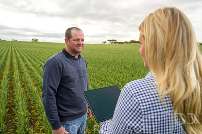 September 2024 / Malinong_SA_-Wheat-4_240925-_Z9C8245