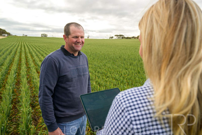 September 2024 / Malinong_SA_-Wheat-4_240925-_Z9C8249