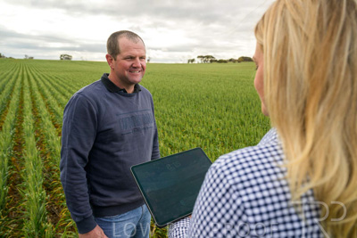 September 2024 / Malinong_SA_-Wheat-4_240925-_Z9C8251
