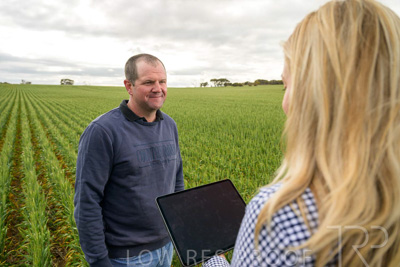 September 2024 / Malinong_SA_-Wheat-4_240925-_Z9C8255