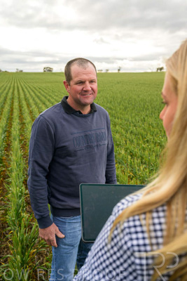 September 2024 / Malinong_SA_-Wheat-4_240925-_Z9C8258
