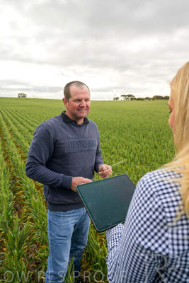 September 2024 / Malinong_SA_-Wheat-4_240925-_Z9C8261