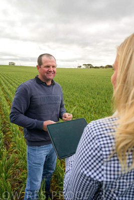 September 2024 / Malinong_SA_-Wheat-4_240925-_Z9C8263