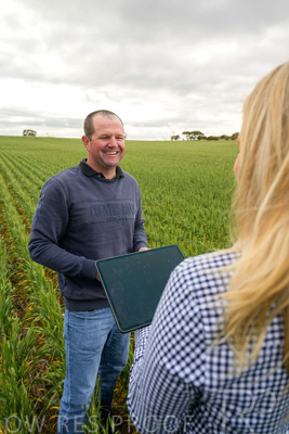 September 2024 / Malinong_SA_-Wheat-4_240925-_Z9C8266
