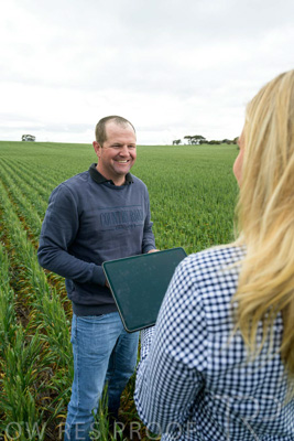 September 2024 / Malinong_SA_-Wheat-4_240925-_Z9C8267