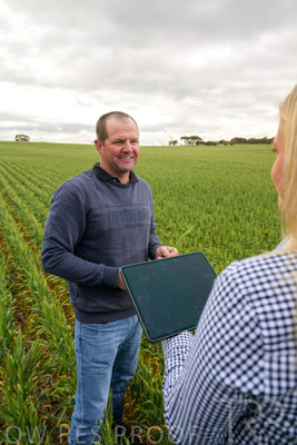 September 2024 / Malinong_SA_-Wheat-4_240925-_Z9C8270