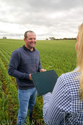 September 2024 / Malinong_SA_-Wheat-4_240925-_Z9C8273
