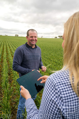 September 2024 / Malinong_SA_-Wheat-4_240925-_Z9C8281