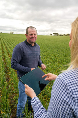September 2024 / Malinong_SA_-Wheat-4_240925-_Z9C8284