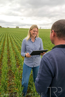 September 2024 / Malinong_SA_-Wheat-4_240925-_Z9C8295