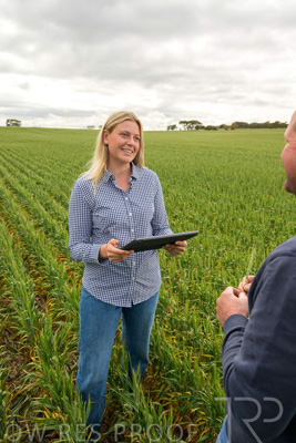 September 2024 / Malinong_SA_-Wheat-4_240925-_Z9C8308