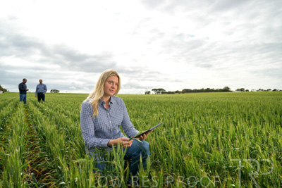 September 2024 / Malinong_SA_-Wheat-4_240925-_Z9C8355