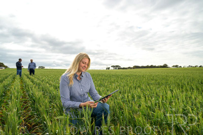 September 2024 / Malinong_SA_-Wheat-4_240925-_Z9C8357
