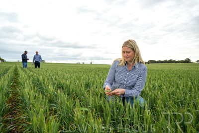 September 2024 / Malinong_SA_-Wheat-4_240925-_Z9C8412
