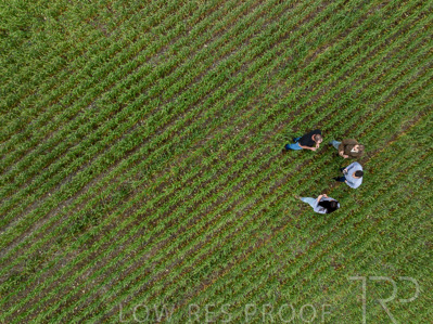 September 2024 / Malinong_SA_-Wheat-5_240925-DJI_0019