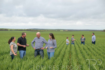 September 2024 / Malinong_SA_-Wheat-5_240925-_Z9C8673