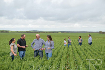 September 2024 / Malinong_SA_-Wheat-5_240925-_Z9C8677