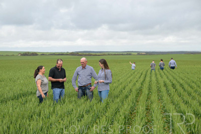September 2024 / Malinong_SA_-Wheat-5_240925-_Z9C8688