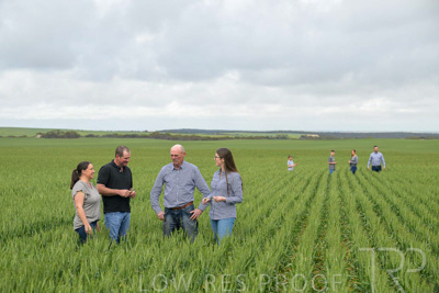 September 2024 / Malinong_SA_-Wheat-5_240925-_Z9C8699