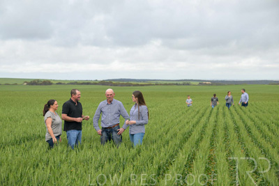 September 2024 / Malinong_SA_-Wheat-5_240925-_Z9C8704