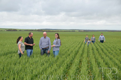 September 2024 / Malinong_SA_-Wheat-5_240925-_Z9C8730