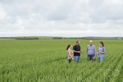 September 2024 / Malinong_SA_-Wheat-5_240925-_Z9C8767