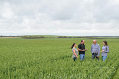 September 2024 / Malinong_SA_-Wheat-5_240925-_Z9C8769