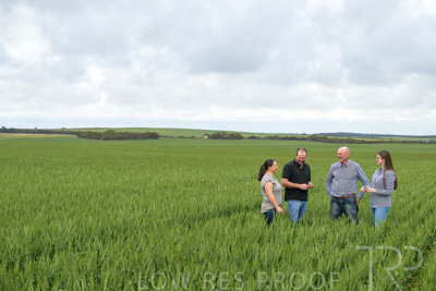 September 2024 / Malinong_SA_-Wheat-5_240925-_Z9C8777