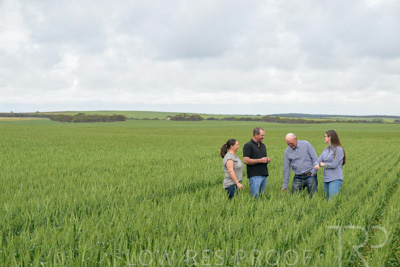 September 2024 / Malinong_SA_-Wheat-5_240925-_Z9C8785